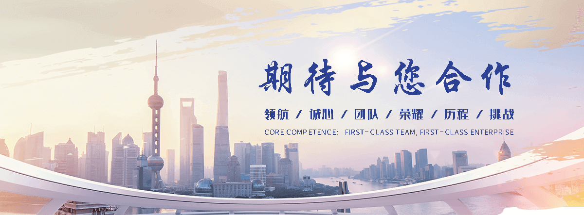 龙泉驿海狮租赁公司